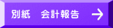 別紙　会計報告 
